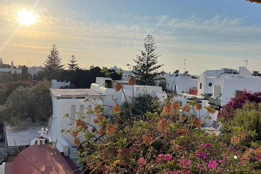 Appartamento & Cosy Mykonos House